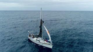 Transpac Finish: Mishaps on the Pacific