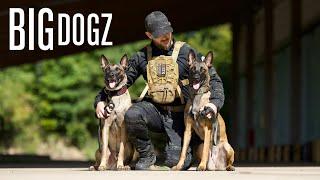 I Trained My Dogs To A Military Standard | BIG DOGZ