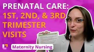 Prenatal Care: 1st, 2nd, and 3rd Trimester Visits - Pregnancy - Maternity Nursing | @LevelUpRN