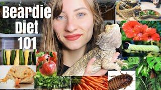 What to Feed Bearded Dragons