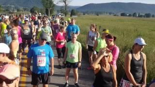 2017-06-10 Varmint half marathon and 5K in Burke's Garden, VA