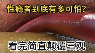 性瘾者到底有多可怕？看完简直颠覆三观，网友直呼不敢了！