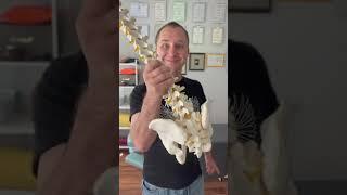 Wow! Not to look nervous! Super chiropractic!