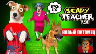 МИСС ТИ купила Собаку  Злая училка (Scary Teacher 3D) - новые Пранки