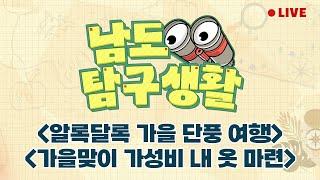 알록달록 가을 단풍 여행 | 가을을 맞아라 가성비 내 옷 마련 | 가을엔 분위기 UP 카페 [LIVE] 남도탐구생활 2024년 11월 14일