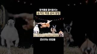 합격률을 끌어올리는 숨겨진 학종 준비 방법