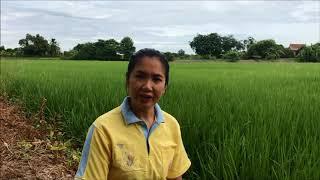 การเปลี่ยนแปลงสภาพภูมิอากาศ ClimateChange