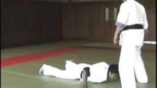 GOSHIN-HO Ushiro-jime - Hiki-taoshi