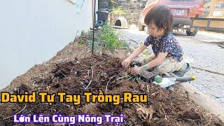 Cuộc Sống Ở Mỹ: Vợ Việt Chồng Amish Làm Nông Trại, Nuôi Gà Và Cắt Rau Mầm Chuẩn Bị Đi Chợ bán.
