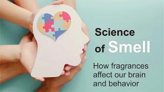 Exploring the Science of Smell How fragrances affect our brain and behavior