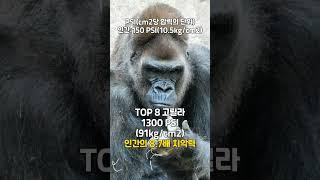 세계에서 무는 힘이 가장 강한 동물 TOP 10