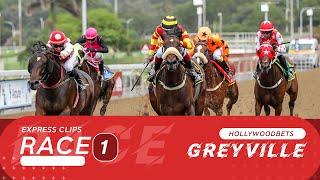 20240608 Hollywoodbets Greyville Race 1 won by THE SPECIALIST