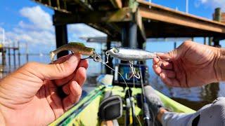 Topwater and Jigging | Tidal River Fishing Florida for Snook, Drum, and Jack Crevalle