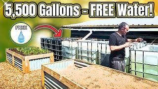 STOP Wasting Water! My Genius System Saves 5,500 Gallons!