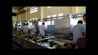 Pineapple juice processing plant