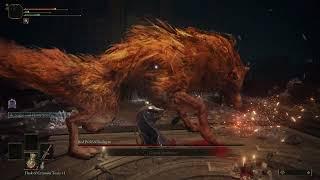 Elden ring - Red Wolf of Radagon (Sword of Night and Flame) [Solo]