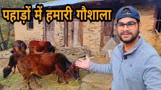 पहाड़ों में हमारी गौशाला || Pahado ki gaushala || Akki ke Vlogs