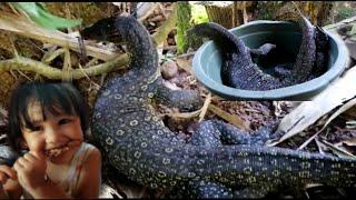 Sate Biawak Manis Khusus Anak Kecil - Masakan Khas Dayak | ExtremeFood Indonesia | ExtremeFood Asian