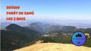 Randonnée en forêt de Saoû 26 août 2019