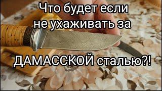 Что будет если не ухаживать за ножом из дамасской стали?!