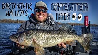 "Cheater rig" for dirty river walleyes