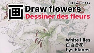 #Draw  flowers every day!