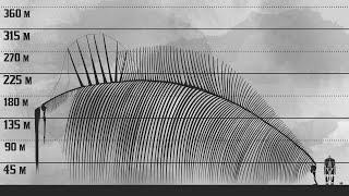 The New Biggest Titan - Attack on Titan Size Comparison