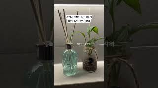 향 하나로 공간이 달라지는 경험