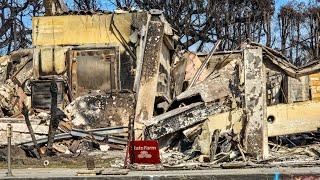 Driving Through the Aftermath: Sunset Boulevard Shows Devastation From Palisades Fire