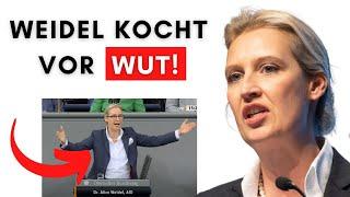 Knallhart! Weidel rechnet mit Scholz & der ganzen CDU ab!