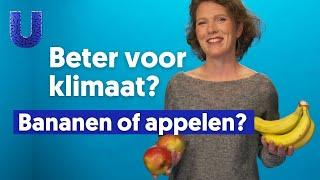 Eet je voor het klimaat beter lokale groenten en fruit?