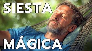 DUERME una SIESTA Mágica y Despierta con VITALIDAD