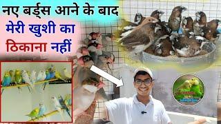 new finchas entry my Bikaner birds information birds setup || about Java and society finchas.