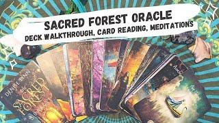 Sacred Forest Oracle by Denise Linn  Deck Walkthrough, Card Readings, and Bonus Meditations