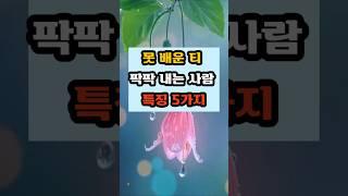 못 배운 티 팍팍 내는 사람 특징 다섯 가지  #명언 #긍정의말 #좋은글 #지혜 #긍정적마인드