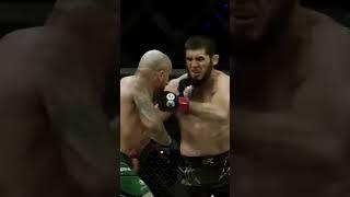  Islam Makhachev - Only one king in the jungle