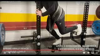 Spring Ankle Torque Loading Levels Video