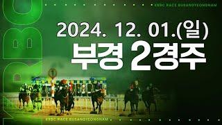 (부산) 2024.12.01 2경주