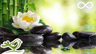 Lotus Flower: Bamboo Water Sounds & Calm Piano Music for Spa, Massage, Sleep & Relaxation