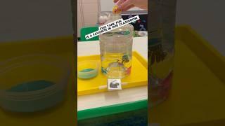 Engaging Fun Activities | Ready Set Go Preschool #earlychildhoodeducation