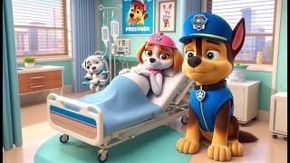 Paw Patrol The Mighty Movie | CHASE x SKYE Are In Hospital? What Happened!? - Rainbow 3