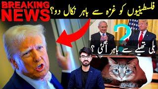 Clean out that whole thing': Trump proposes relocating Palestinians outside Gaza | shaikh kashif tv