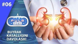 Puls 1141 6-son Buyrak kasalligini davolash! (15.07.2019)