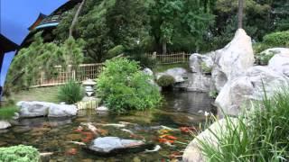 EPCOT - Japan Pavilion Area Music