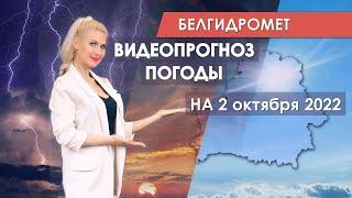 Видеопрогноз погоды по областным центрам Беларуси на 2 октября 2022 года