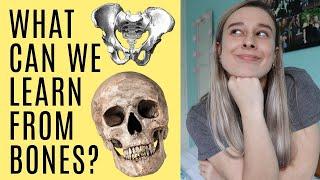 What Can Archaeologists Learn From the Skeleton? // Introduction to Bioarchaeology