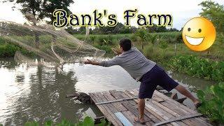 Fishing at Bank’s Farm Suphan Buri Thailand Part 1