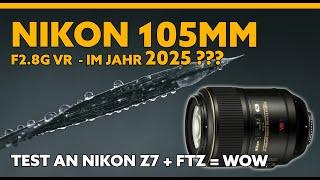 NIKON 105mm f2.8 Macro im Jahr 2025? NIKON Z7 Test #nikkor #nikon #z #z7