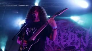 ANALEPSY - The Vermin Devourer (OFFICIAL LIVE VIDEO)