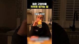검은고양이를 키우는 집사들의 고충‍⬛